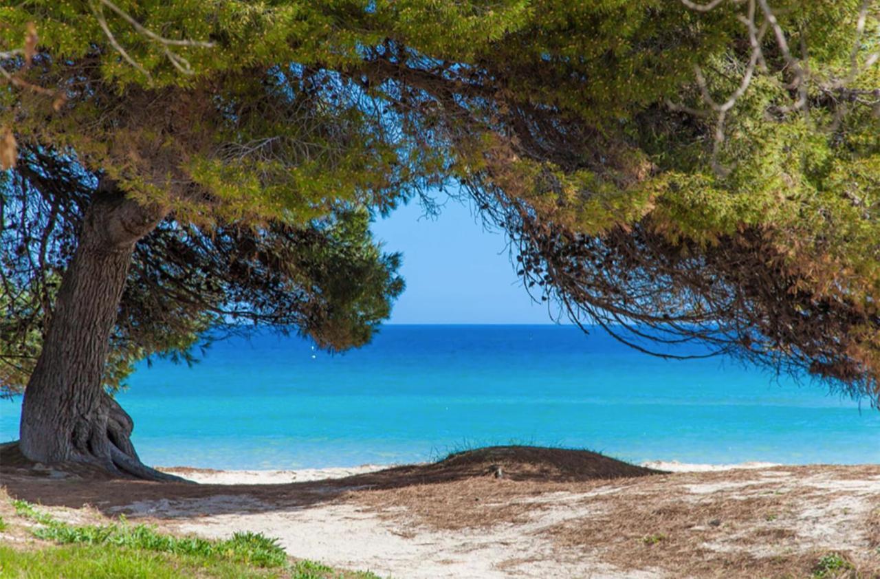 Apartment Countess Garden 3-1, Sun Of The Bay 1, At Alcudia Beach Екстериор снимка